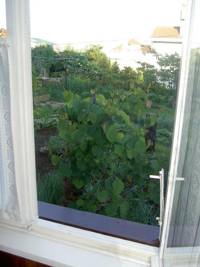 Apartman Thea Apartment Opatija Exterior photo